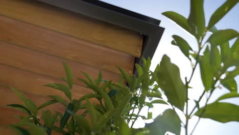 una pérgola con una pizarra de madera direccional y su marco de aluminio gris, en primer plano un árbol de limón