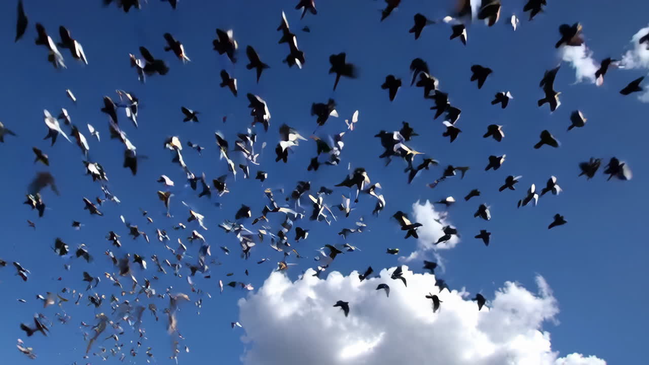Flock of Birds in Flight Against a Blue Sky with Clouds