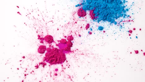 pink and blue powder makeup swatches