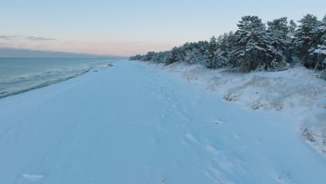 aerial footage of beach and trees covered with snow, sunny winter day at the sunset, golden hour, nordic woodland pine tree forest, baltic sea coast, wide ascending drone shot moving forward