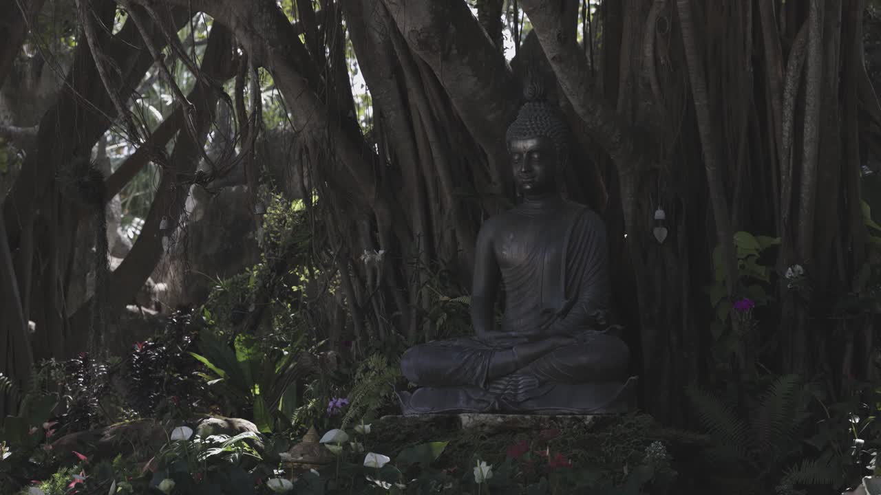 Buddha pacifico seduto sotto un albero.