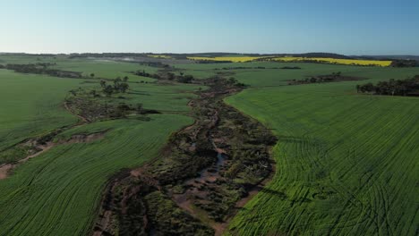 Dried-river-with-grown-plants-surrounded-by-plantations-and-green-fields,-aerial-dynamic