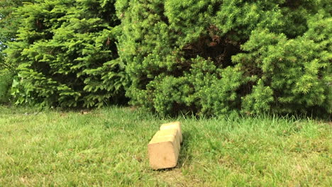 king falls over after being hit in the outdoor game kubb