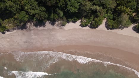 top down sliding drone footage of an empty beach with one lonely person walking along the tropical shoreline