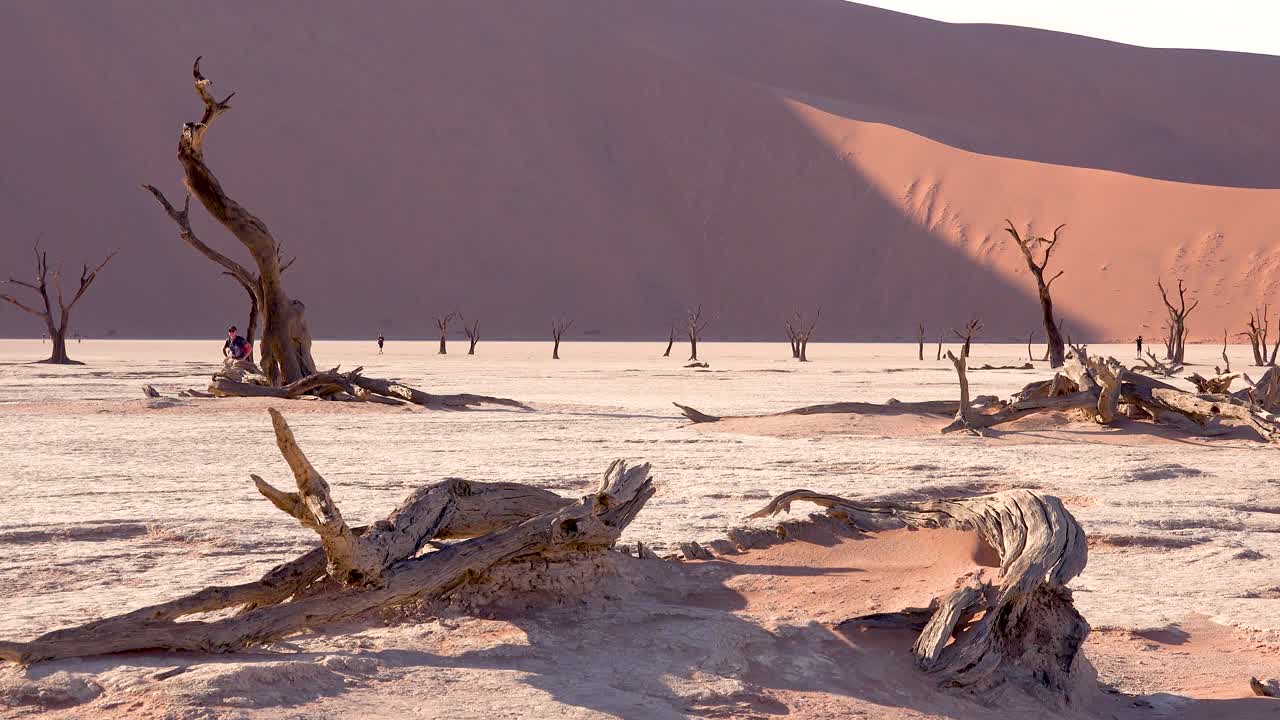 los turistas caminan cerca de árboles muertos silueteados al amanecer en deadvlei y sossusvlei en namib naukluft national park desierto de namib namibia 1