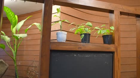 wooden plant stand top to bottom closeup view