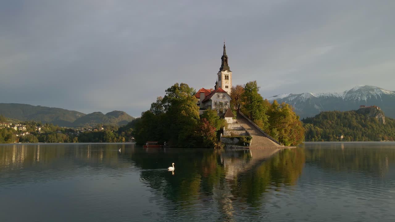 Vista panoramica dell'isola del Lago di Bled con la chiesa e un cigno che nuota
