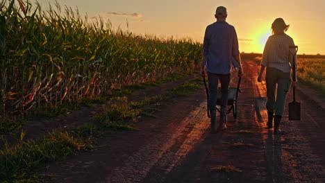 farmers walking through cornfield at sunset