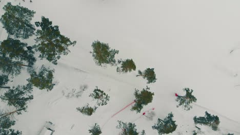 Haus-Im-Kiefernwald-Mit-Schneebedeckten-Wegen