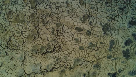 Drone-top-down-view-of-cracked-mud-bank-asphalt-lake-in-willemstad-curacao