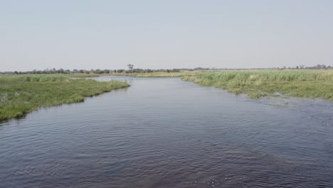 Grupo-De-Hipopótamos-En-El-Río-Cuando-En-Caprivi-Strip,-Namibia