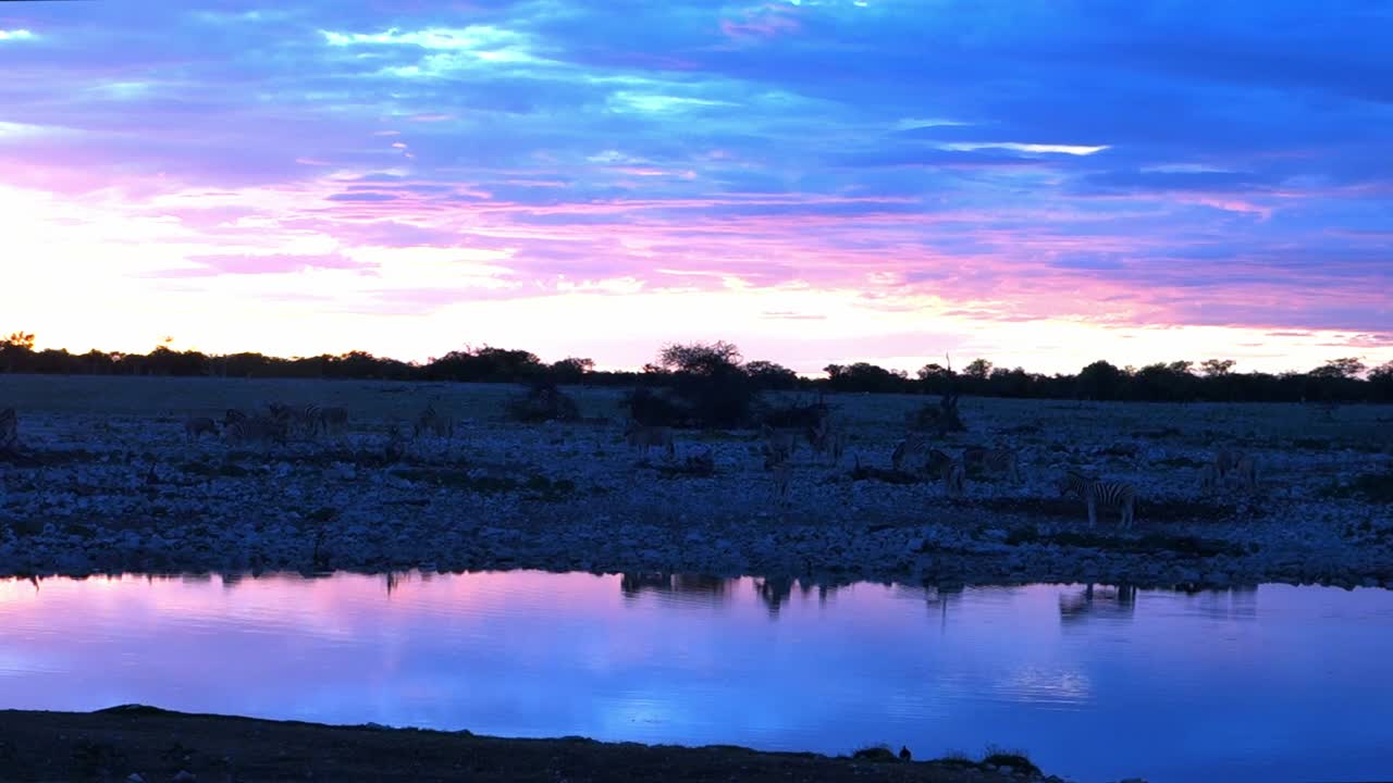 Incredible purple and blue sunset in okaukuejo waterhole at Etosha Etosha National Park. Namibia. African safari.