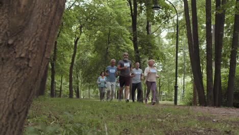 seniors running in a park