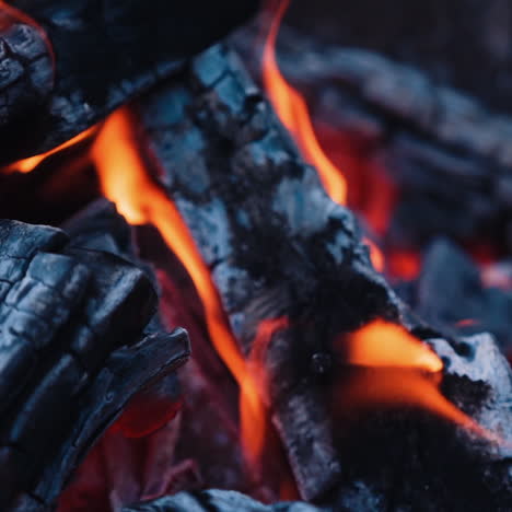 burning wood in the fireplace and the flames