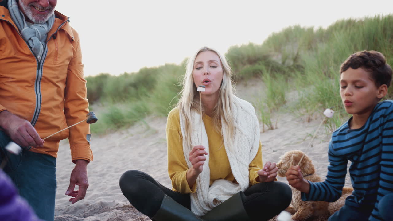 многопоколенная семья тостирует зефиры вокруг огня на зимнем пляже