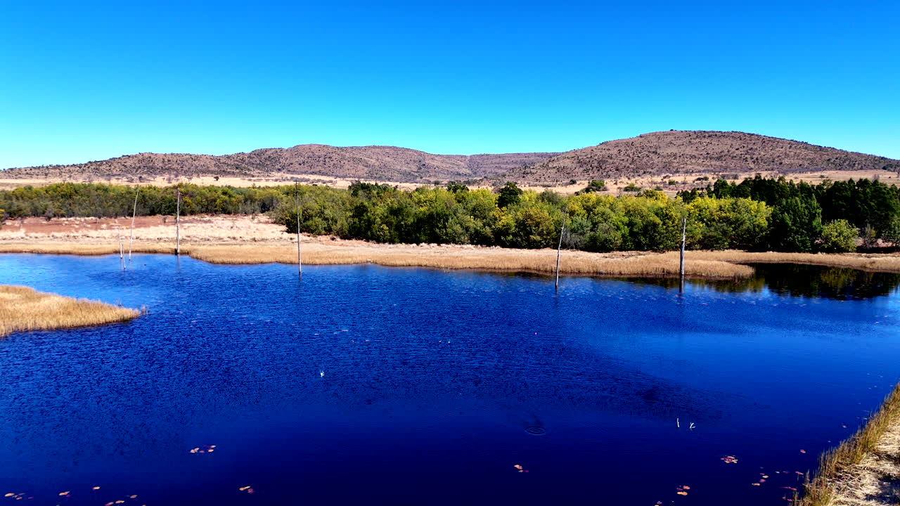 Orange clay pigeon shot into pieces and falling into farm dam, top view slomo