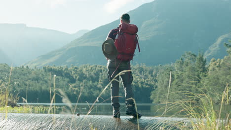 throw, stone or man hiking by lake in nature