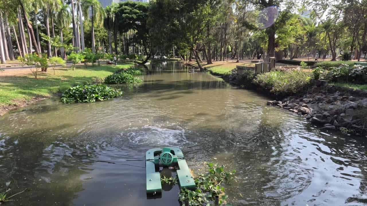 자율적인 로이 작은 강을 가로질러