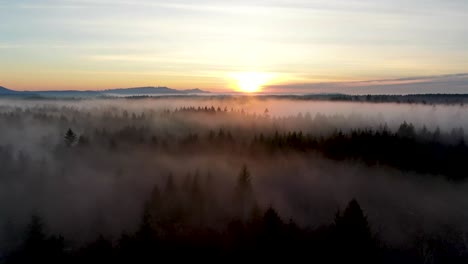 4K-Drohnenflug-über-Den-Wolken-Während-Der-Goldenen-Stunde-Mit-Langen-Schatten-Aus-Der-Wildnis-Darunter