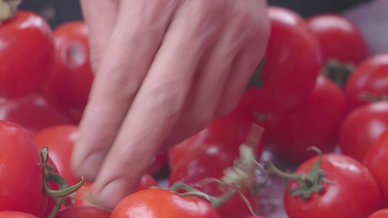 Hands picking tomatoes