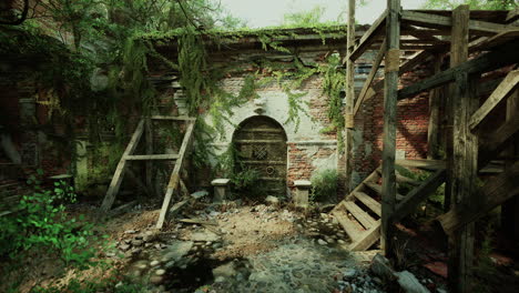 edificio abandonado cubierto de vegetación