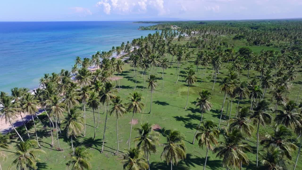 Playa La Entrada beach with coconut palm trees, Cabrera in Dominican Republic. Aerial forward