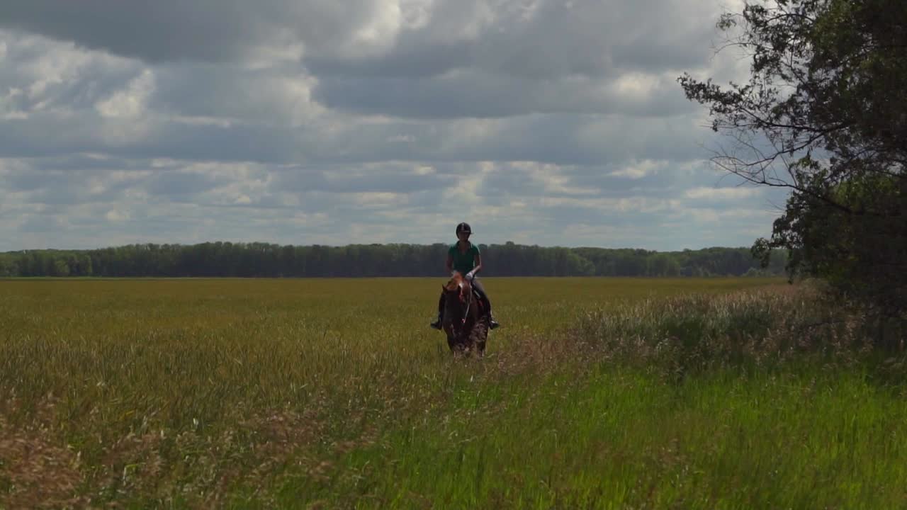 mujer a caballo en un campo