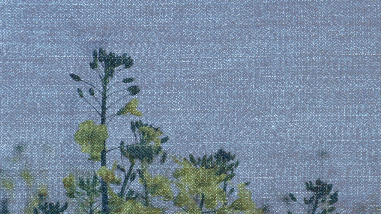 animación de la textura de la tela sobre las flores del campo