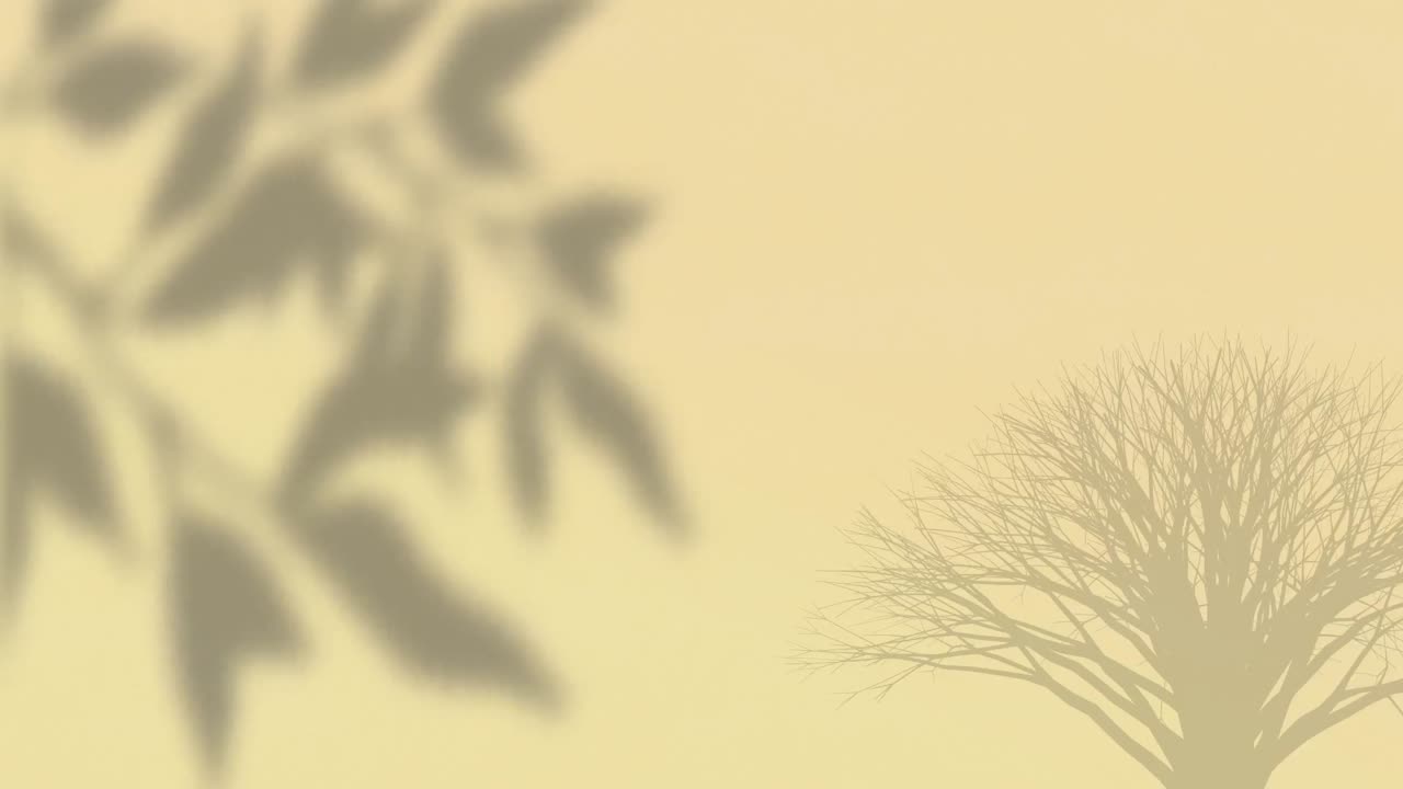 베이지색 배경에 있는 식물의 그림자의 애니메이션