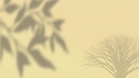 animation of plants shadow on beige background