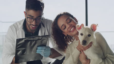 you've got the vet's approval, little guy