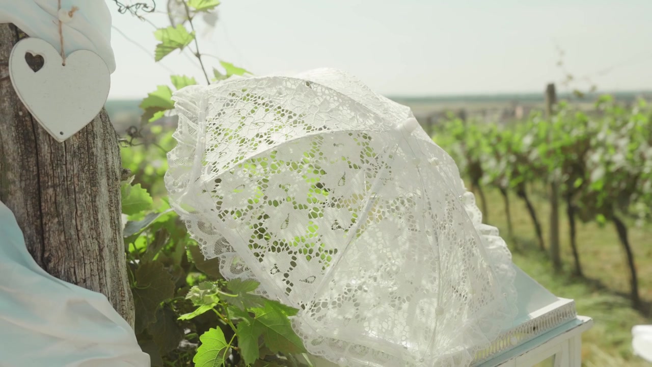 Wedding decorations at a vineyard. A decorative parasol among the rows of grapevines and decorations