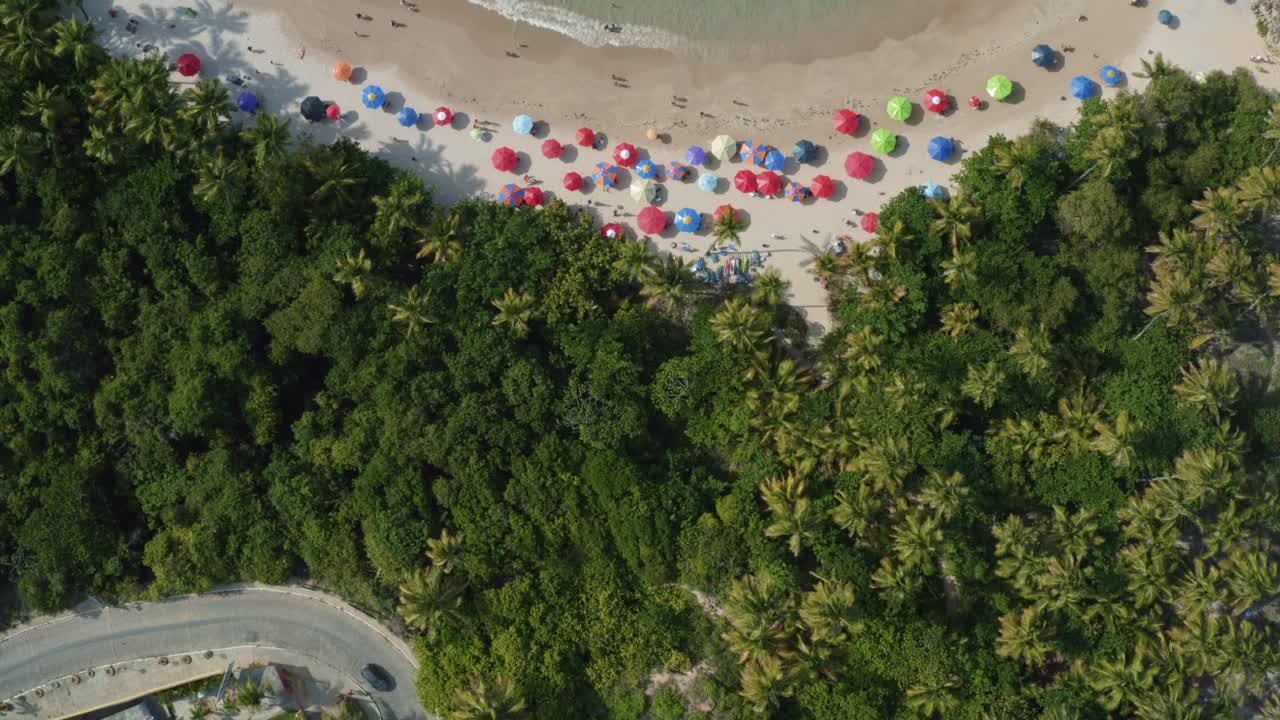 Fly forward aerial drone bird's eye shot of the popular tropical Coquerinhos beach with colorful umbrellas, palm trees, golden sand, turquoise water, and tourist's swimming in Conde, Paraiba, Brazil