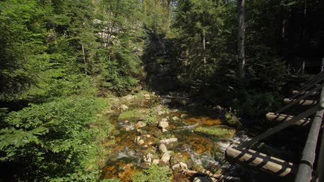 Flowing-river-through-green-mountain-forest-in-summer,-25-fps