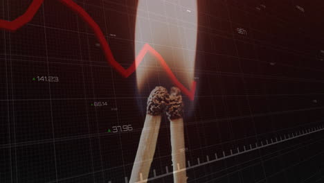 animatie van de verwerking van financiële gegevens over verlichte wedstrijden