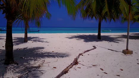 palms on white sandy beach, jib shoot on beautiful maldives island getaway