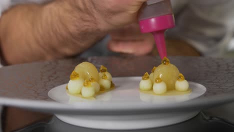 French-chef-plating-a-luxurious-fine-dining-dish-slow-motion-close-up-shot