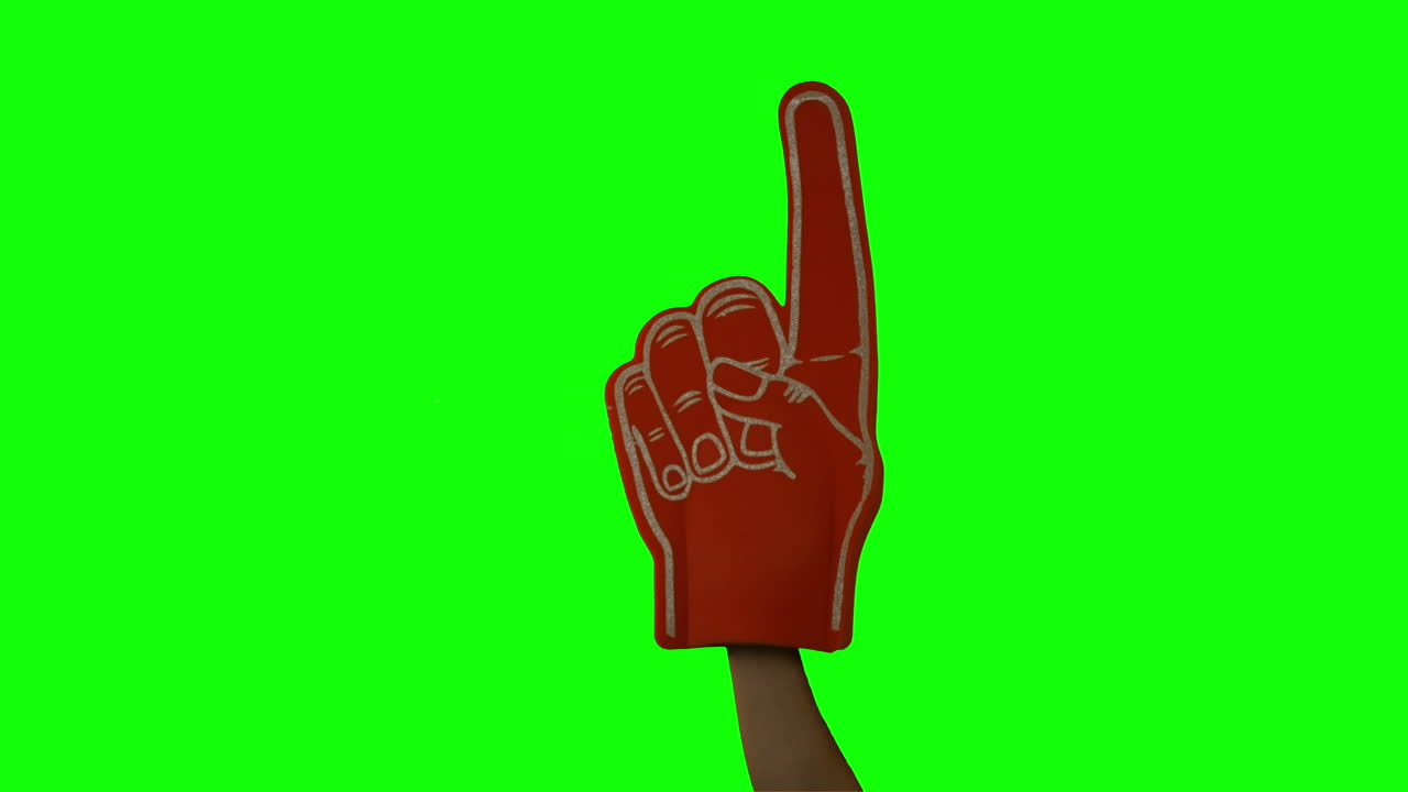 Supporter holds a foam hand up in air