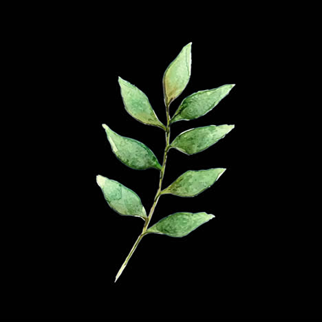 Watercolor leaf animation isolated asset, transparent 4K video, alpha channel, ProRes 4444