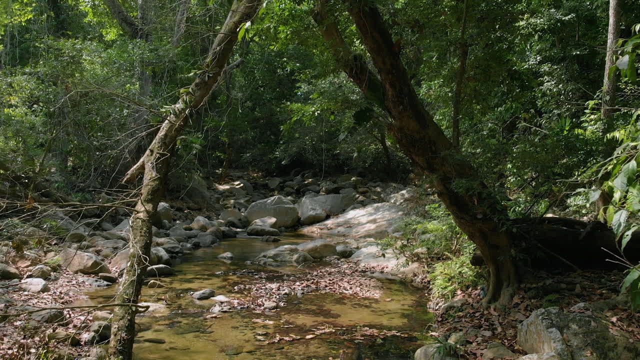 río en medio del bosque
