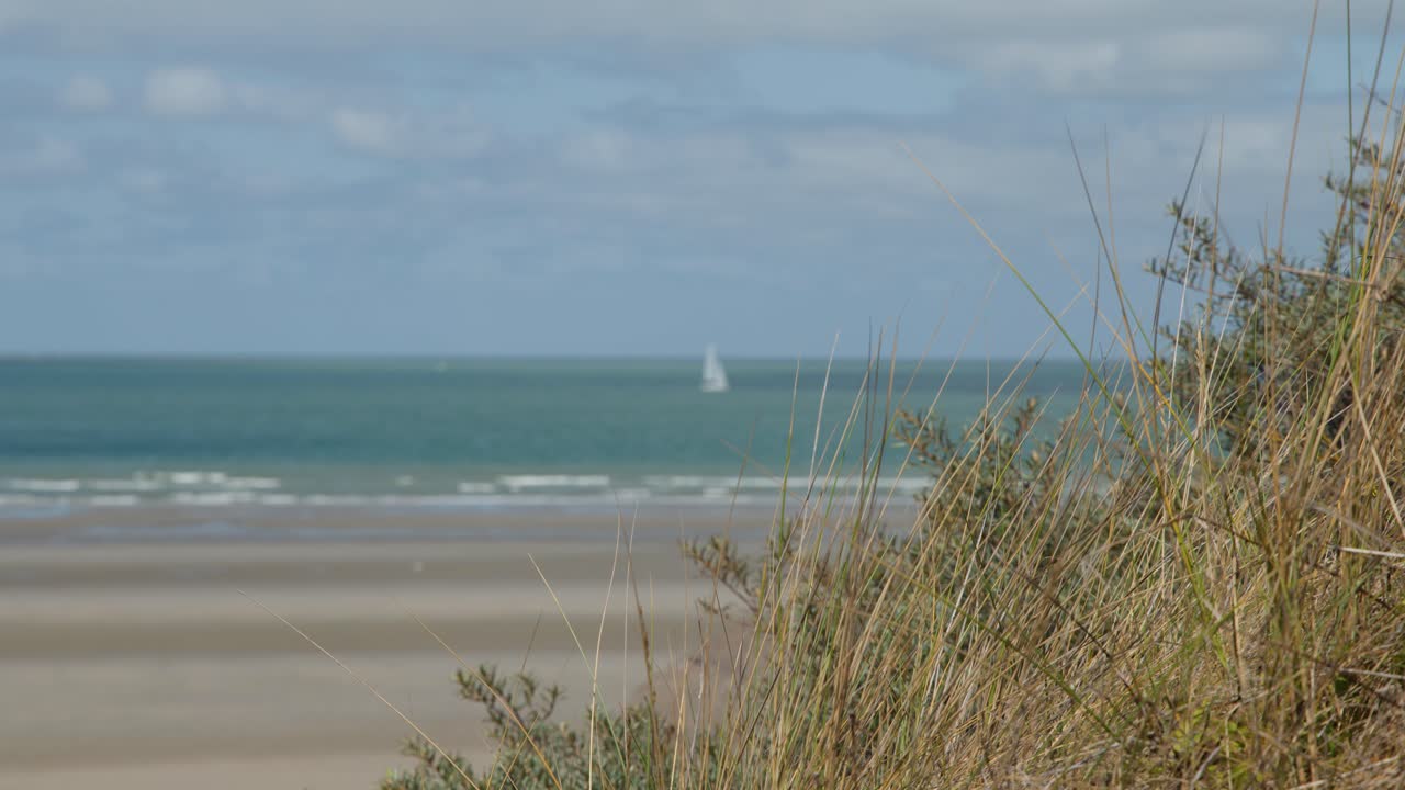 Single sailboat drifts on calm sea, viewed over grassy dunes under bright daylight, static camera