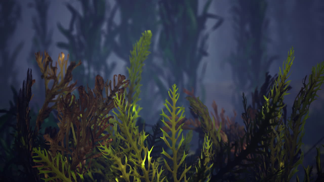 Exploring the vibrant underwater kingdom and its murky waters