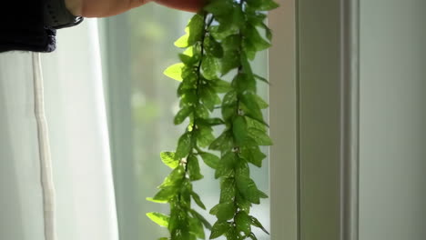a person's hand holding a string of green leaves by a bright window