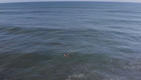 Antena:-Surfista-Remando-Sobre-Las-Olas-En-El-Agua-Del-Océano-Tropical