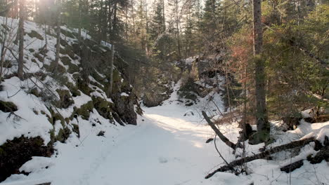 Arroyo-Congelado-Cubierto-De-Nieve-Rocosa-A-Través-Del-Bosque-De-Invierno