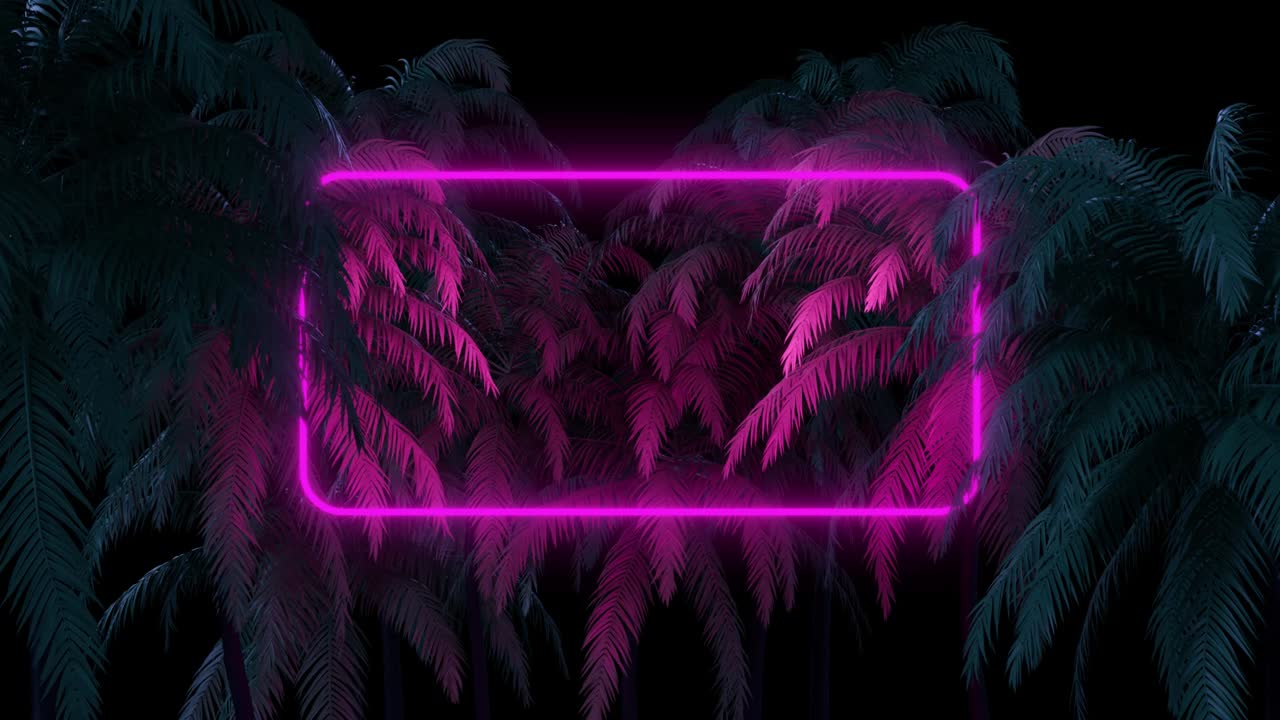 Neon Glowing Rectangle Frame Appears In The Tropical Forest on a Black Background. 80s Style Retrowave Background. 3D Zooming Out Animation. 4K
