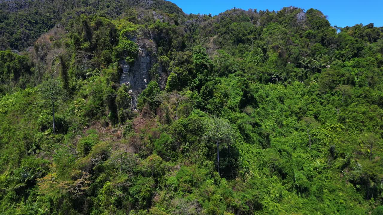naturaleza intacta tierra inaccesible naturaleza selva montañas