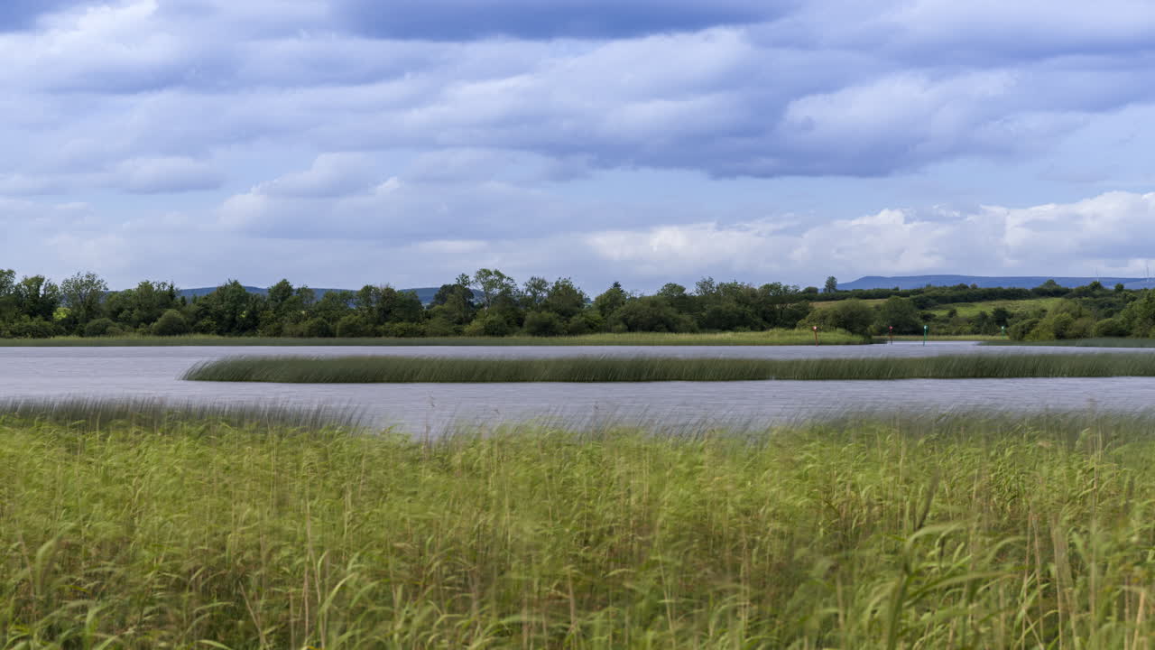 lapso de tiempo del lago con juncos en primer plano y bosque en el fondo en un día nublado de verano en irlanda