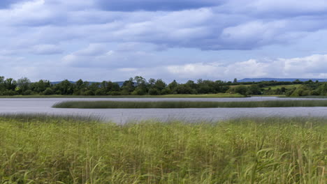 Zeitraffer-Des-Sees-Mit-Schilf-Im-Vordergrund-Und-Wald-Im-Hintergrund-An-Einem-Bewölkten-Sommertag-In-Irland