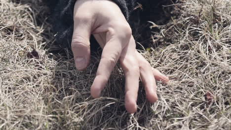 Close-up of a woman&#039;s hand sensually touching grass